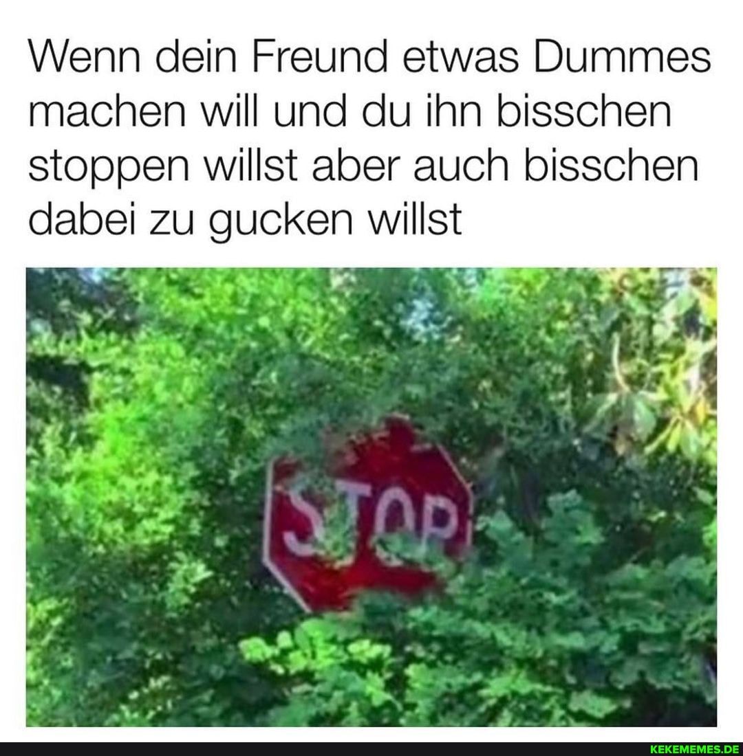 Wenn dein Freund etwas Dummes machen will und du ihn bisschen
stoppen willst aber auch bisschen dabei zu gucken willst