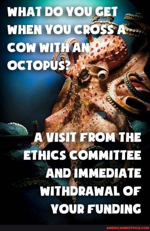 WHAT DO VOU GET WHEN YOU CROSS A COW WITH OcTopus?
A VISIT FROM THE ETHICS COMMITTEE AND IMMEDIATE WITHDRAWAL OF YOUR FUNDING