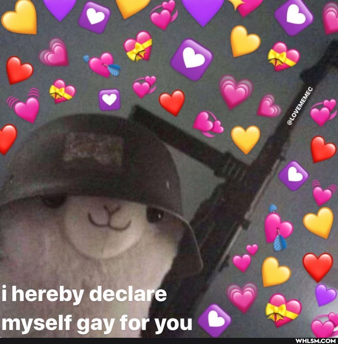 AR AS
ihereby declare mvself aav for vou bb