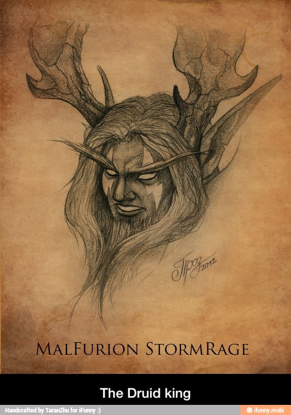 MALFURION STORMRAGE
33
The Druid king - The Druid king