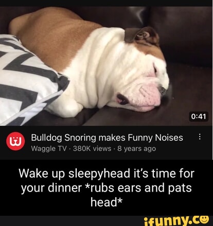 Sleepyhead memes. Best Collection of funny Sleepyhead pictures on iFunny