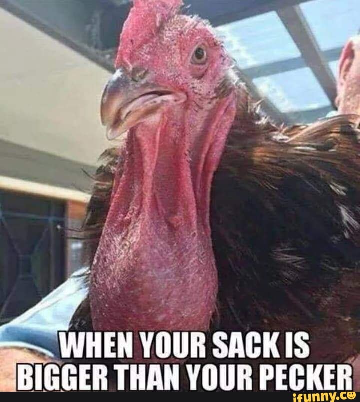 When Your Sack Is Bigger Than Your Pecker