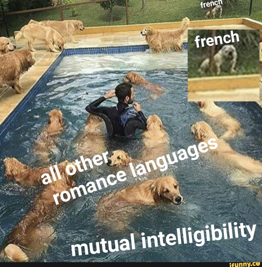 french, romancelanguages, language, english, spanish, portuguese, romanian, frances, françes, castellano, español