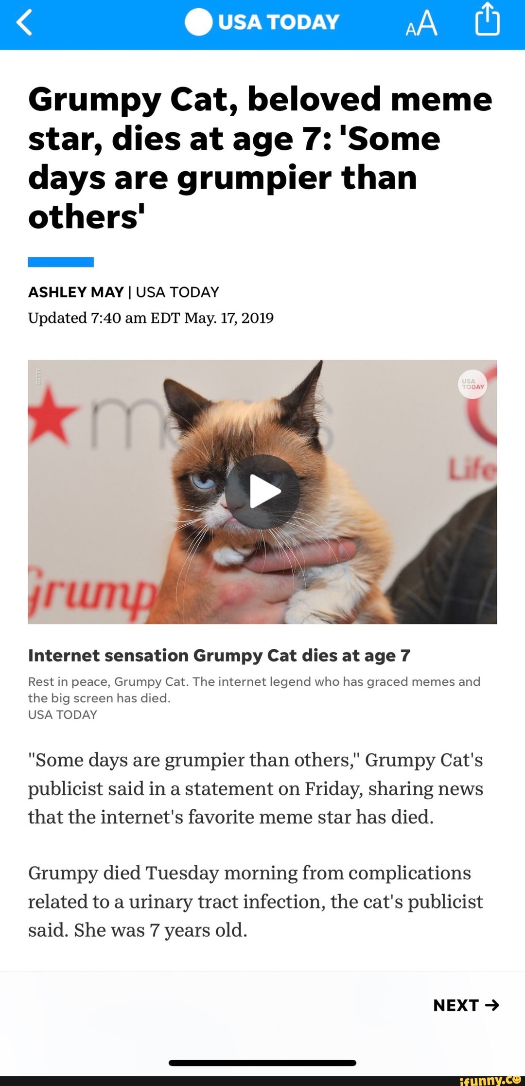 grumpy-cat-beloved-meme-star-dies-at-age-7-some-days-are-grumpier