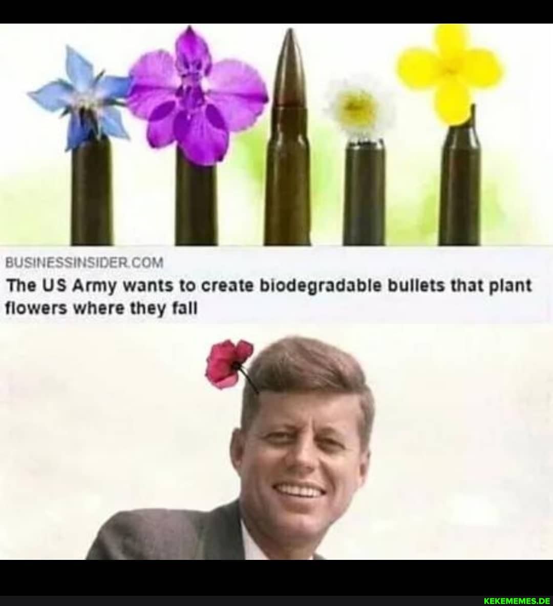 _am
_am
COM The US Army wants to create biodegradable bullets that plant flowers where they fall