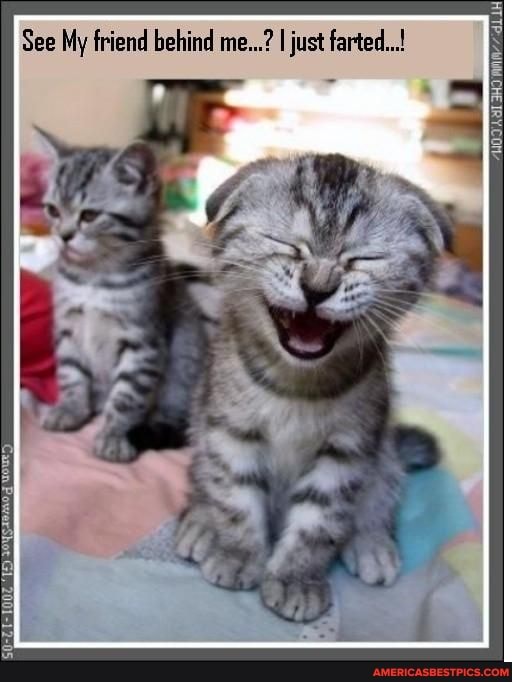 See My friend behind me...? I just farted...!