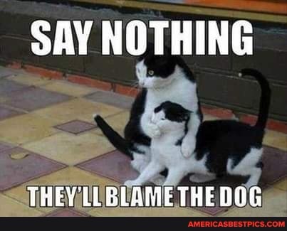 SAY NOTHING
THEV LL BLAME THE DOG