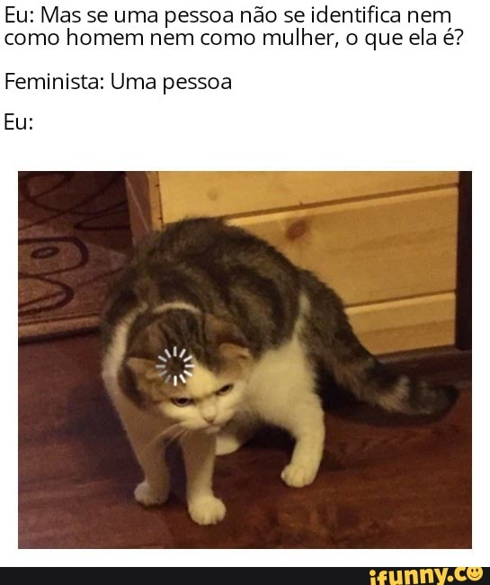 Eu: Mas se uma pessoa não se identifica nem como homem nem como mulher, o que ela é?
Feminista: Uma pessoa
Eu: