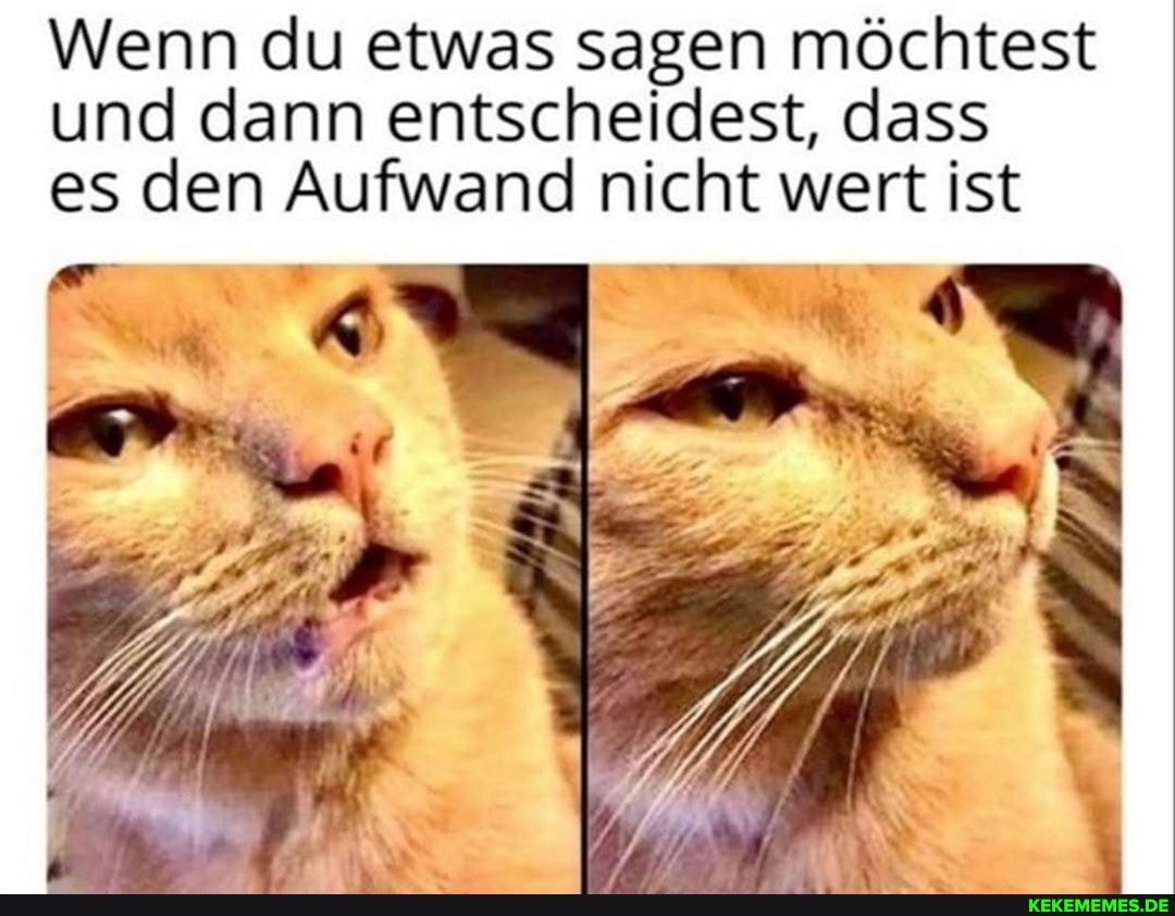 Wenn du etwas sagen möchtest und dann entscheidest, dass
es den Aufwand nicht wert ist