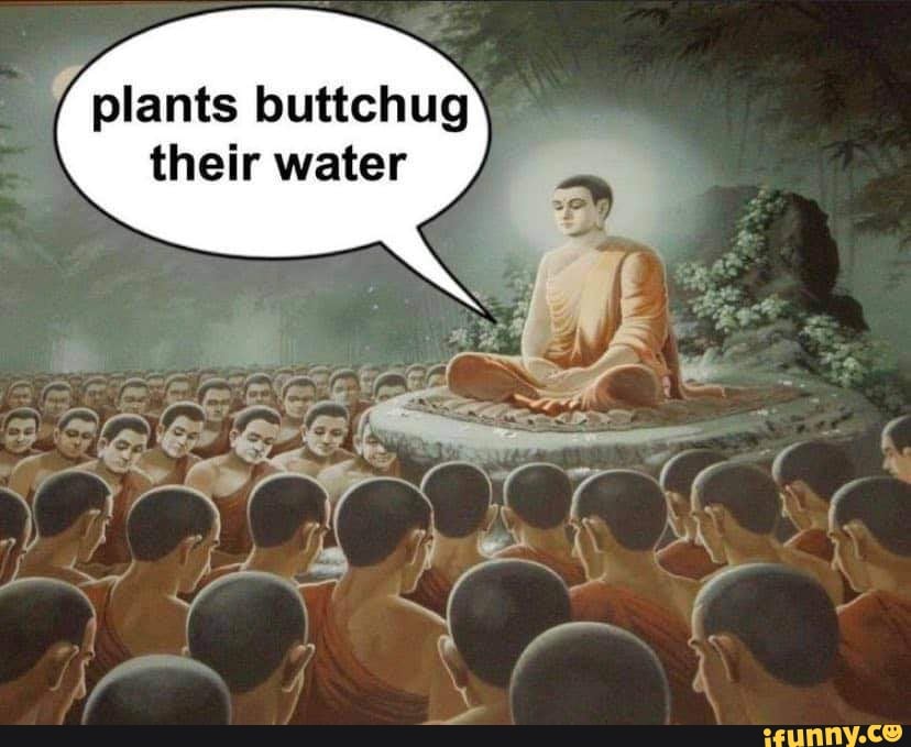 plants buttchug their water