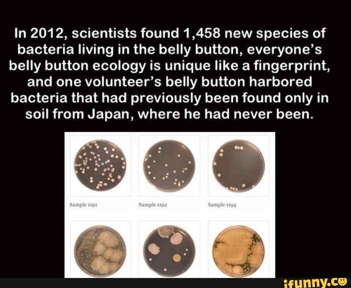 In 2012, scientists found 1,458 new species of bacteria living in the
