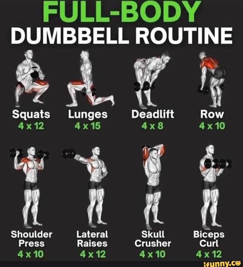 FULL-BODY DUMBBELL ROUTINE aN t Lung Deadlift Row Shoulder Lateral ...