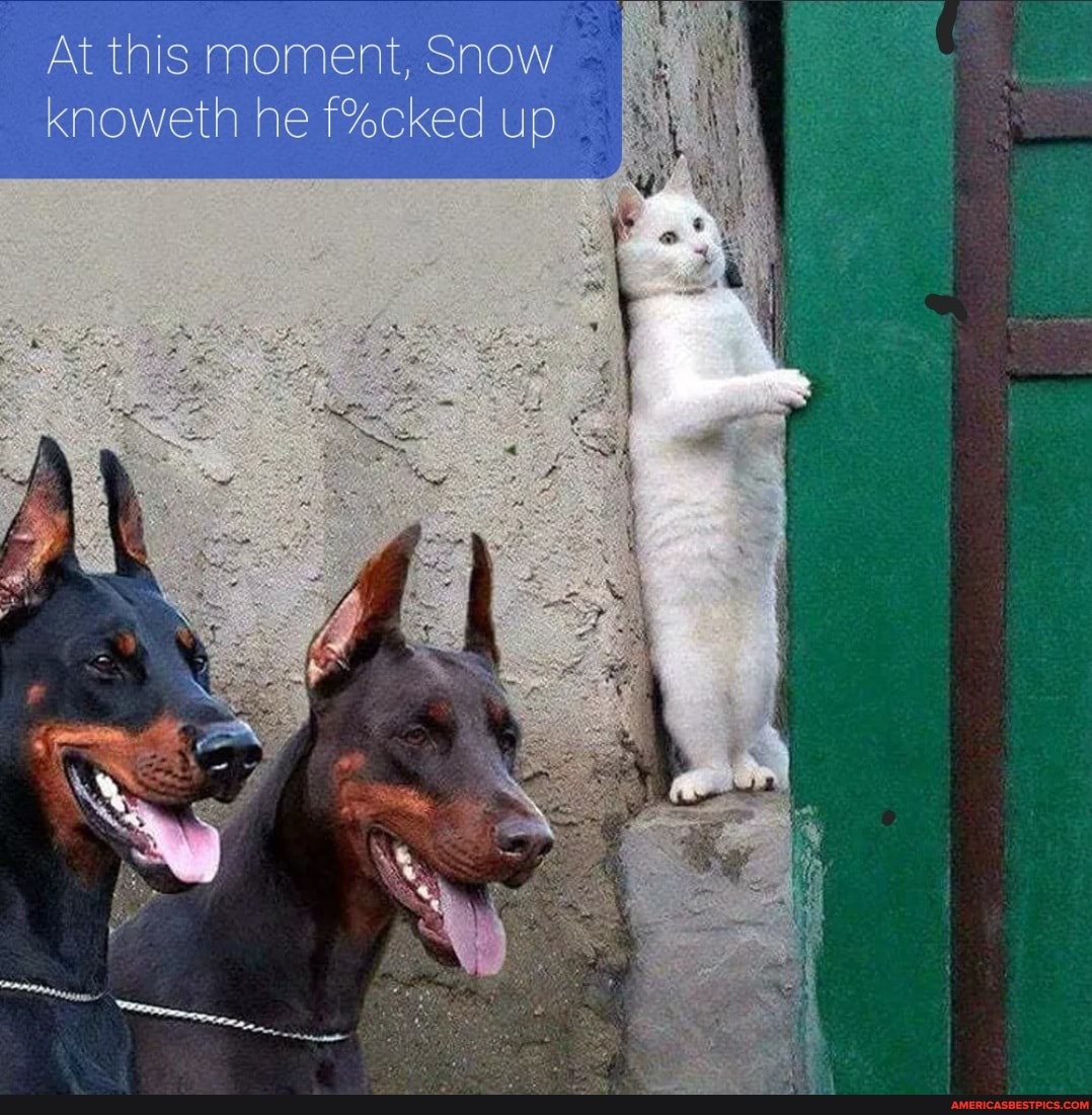 At this moment, Snow knoweth he up
