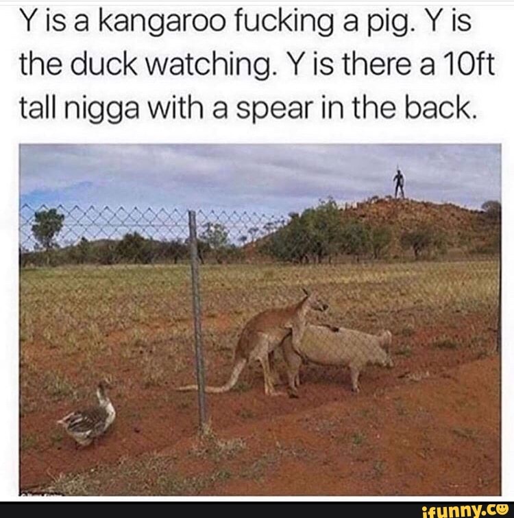 Y is a kangaroo fucking a pig. Y is the duck watching. Y is there a 10ft tall nigga with a spear in the back.
- co