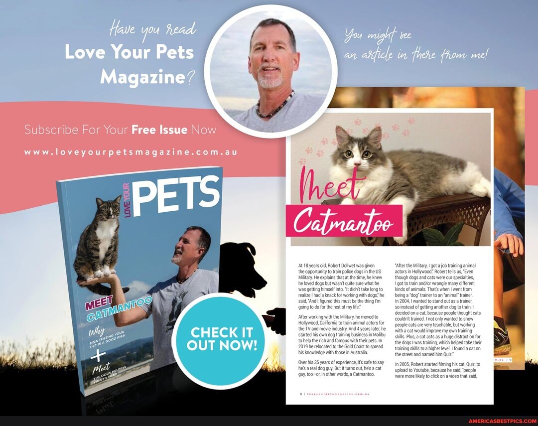 Read
You
Love Your Pets
Magazine'
Free Issue
www.loveyourpetsmagazrine.com.au
PETS
AAL18 years old, Robert Dolvet was given the opportunity He o train explains police at dogs in US the knew
Military. He explains that atthe time, he knew but wasnit quite sure what he as getting himself into take long to
ize had knack for working with dogs' he aid, 'And figured this must be the thing m going do for the rest of my life
After working with the Miltary, he moved to training business in Malibu
Hollywood, California to trai the TV and movie in started his
'animal actors for sty, And 4 years later training business in Malibu tohelp the rich and famous with their pets. in
2019 he relocated to the Gold Coast to spread knowledge with those in Australia
his 35 ye of experience, i's safe to say he's areal dog guy. But it turns out, he's cat guy, other words, a Catmantoo,
fer the Military, got a job training animal
in Hollywood" Robert tells us, "Even though dogs and cats were our specialties, got to train wrangle many diferent kinds of animals. That's when went from
bein "dog' trainer to an "anima" traine
2004, wanted to stand out as a trainer, instead of getting another dog to train, decided on a cat, because people thought couldn't trained. not only wanted to show people cats are very teachable, but worki with a cat would improve my own training skills. Plus, a cat acts as a huge which distraction take for the dogs was training, which helped take their training skills to a higher level. found a cat on the street and named him Quiz'
2005, Robert started filming his cat, Quiz, to upload to Youtube, because he sai, 'people were more likely to click on a video that sai,