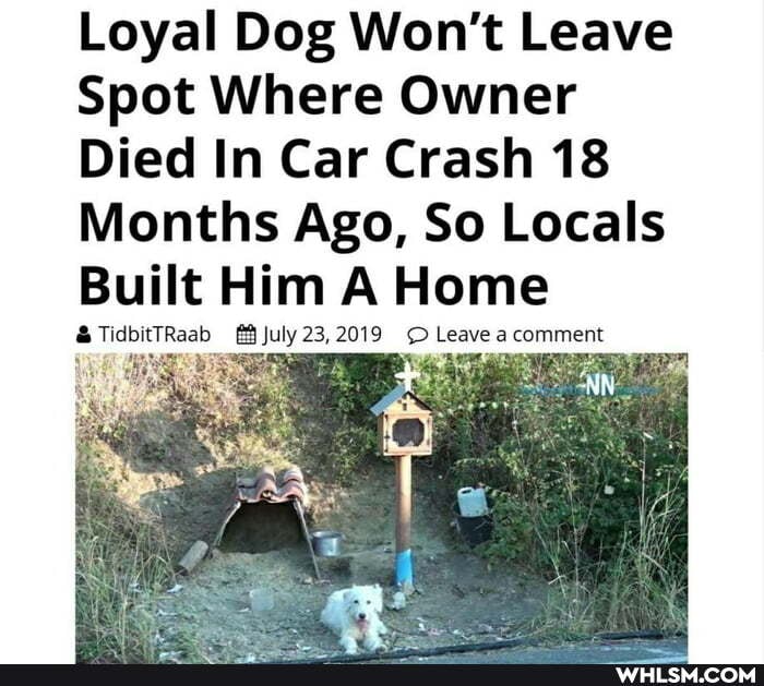 Loyal Dog Won't Leave
Spot Where Owner
Died In Car Crash 18
Months Ago, So Locals
Built Him A Home
ATidbtTRaab July 23,2019 Leave a comment