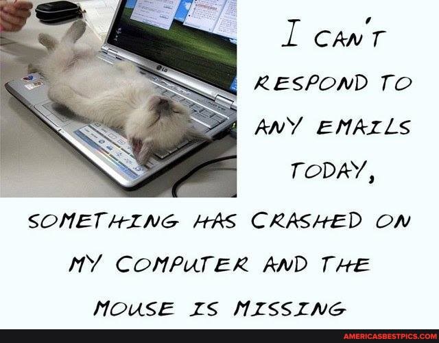 RESPOND TO ANY EMAZLS TODAY,
SOMETHING HAS CRASHED ON NY COMPUTER AND THE
MOUSE IFS MISSING