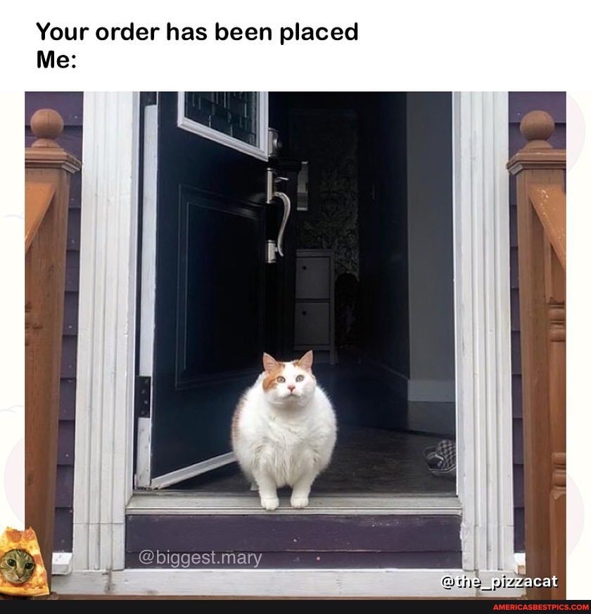 Your order has been placed
Me:
Mary
nizzacat