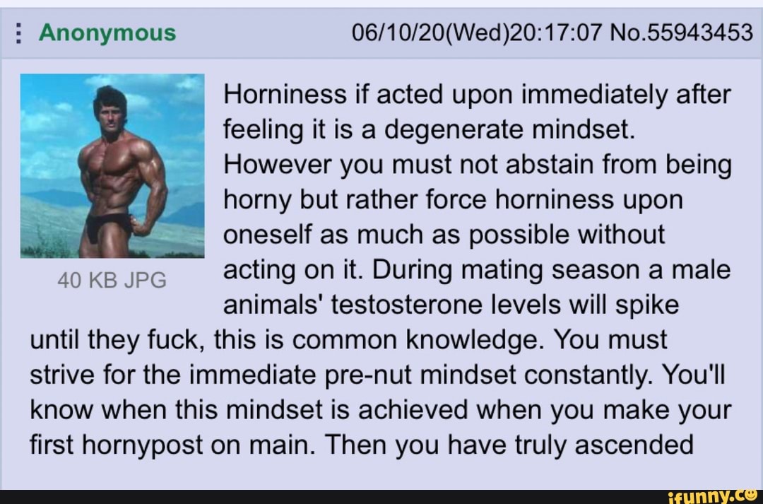 Anonymous 06/10/20(Wed)20:17:07 No.55943453
Horniness if acted upon immediately after
feeling it is a degenerate mindset.
However you must not abstain from being
horny but rather force horniness upon
oneself as much as possible without
acting on it. During mating season a male
animals' testosterone levels will spike
until they fuck, this is common knowledge. You must
strive for the immediate pre-nut mindset constantly. You'll
know when this mindset is achieved when you make your
first hornypost on main. Then you have truly ascended