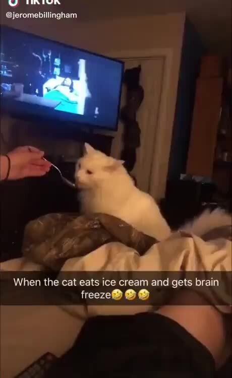 Brainfreeze Memes Best Collection Of Funny Brainfreeze Pictures On Ifunny