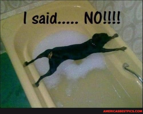 I said.....