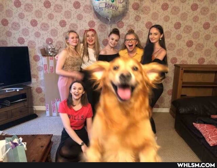 yay, dawwwwwww, wholesome_memes, mildly_sweet
