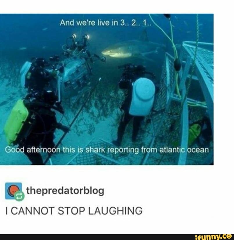 G00d afternoon this is shark reporting from atlantic ocean
I CANNOT STOP LAUGHING