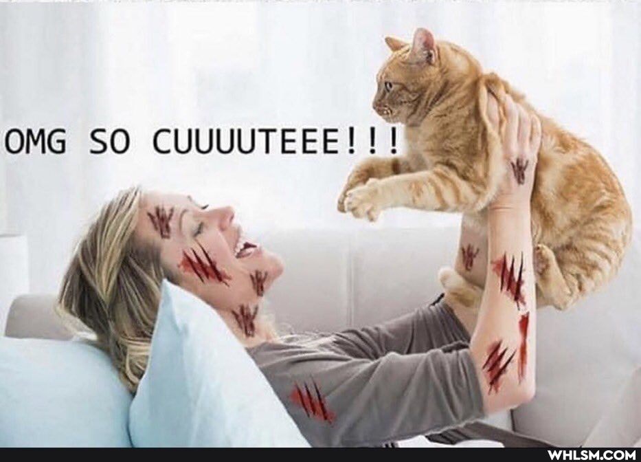 OMG SO CUUUUTEEE!