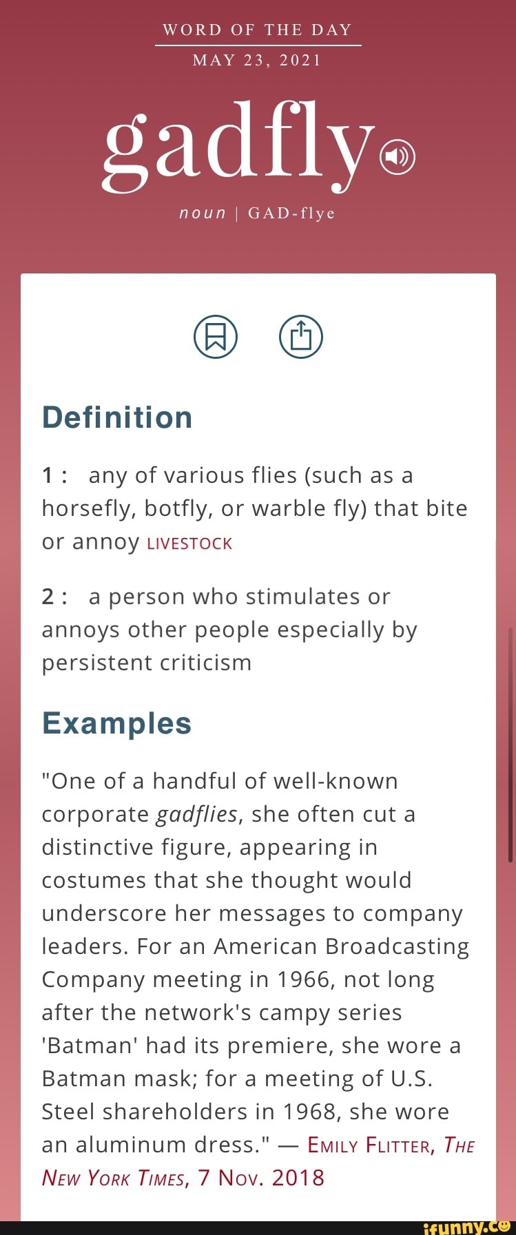 word-of-the-day-may-23-2021-noun-i-gad-flye-definition-1-any-of-various-flies-such-as-a