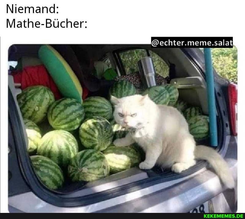 Niemand:
Mathe-Bücher: