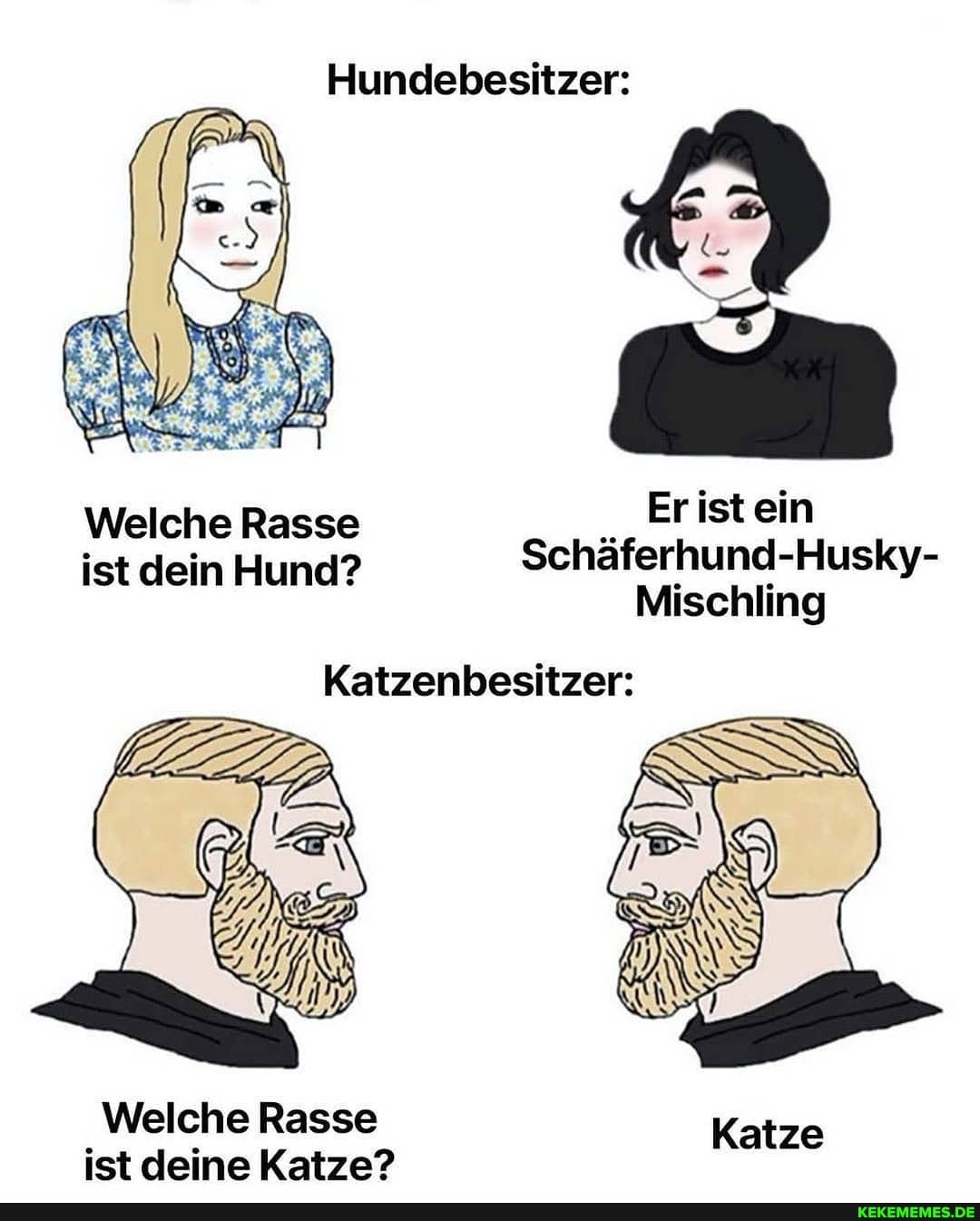 Hundebesitzer:
Welche Rasse Er istein ist dein Hund? Schäferhund-Husky-
Mischling
Katzenbesitzer:
Welche Rasse Katze ist deine Katze?
