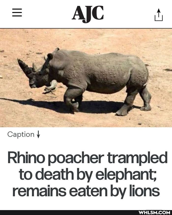 III
Caption
Rhino poacher trampled to death by elephant; remains eaten by lions