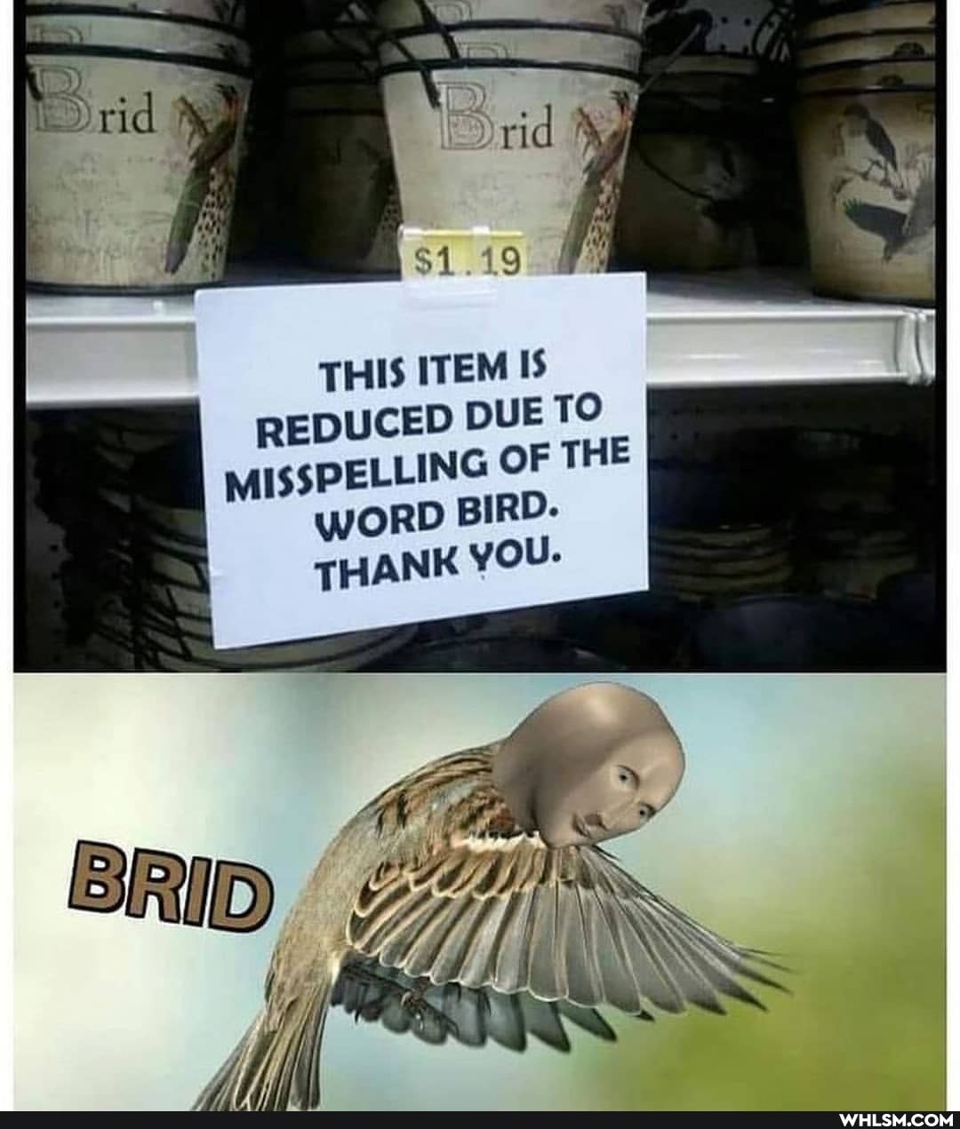 rid
THIS ITEM IS REDUCED DUE TO MISSPELLING OF THE WORD BIRD.
BRID ee
Gi/