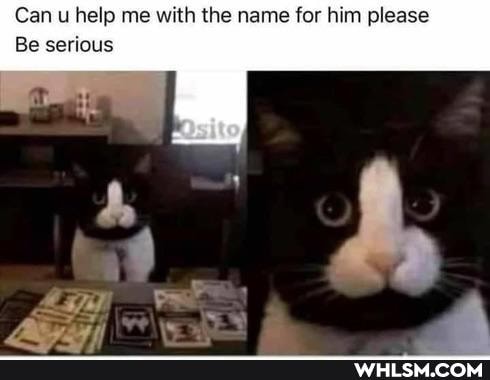Can u help me with the name for him please
Be serious