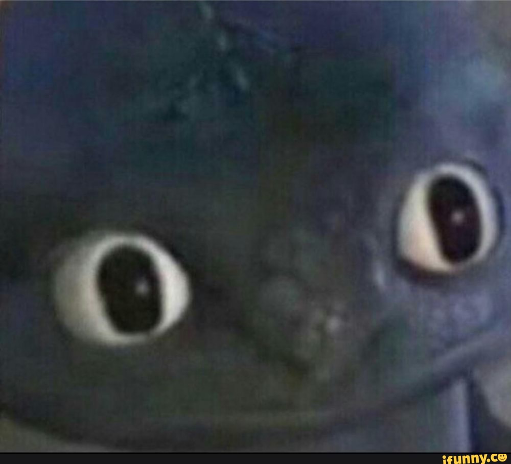 base, basedememes, basedememe, template, bases, basesdememes