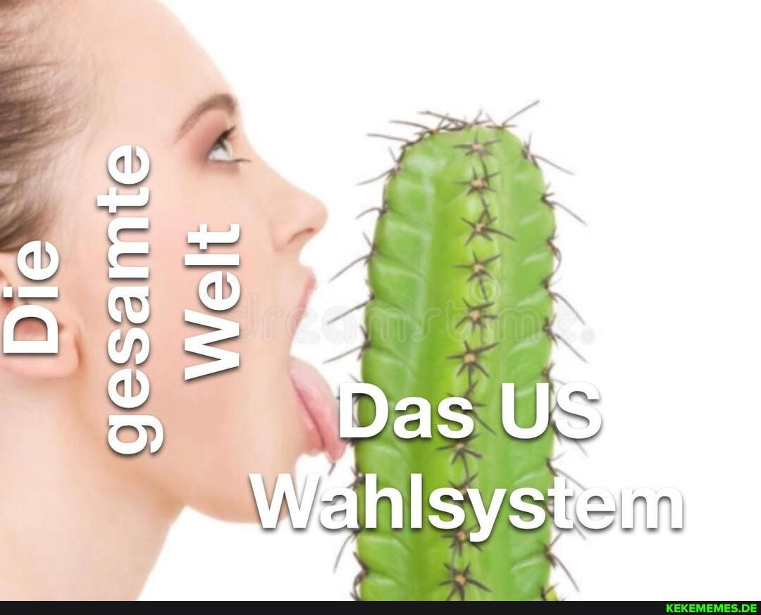 Die
Das
Welhlsyshenn