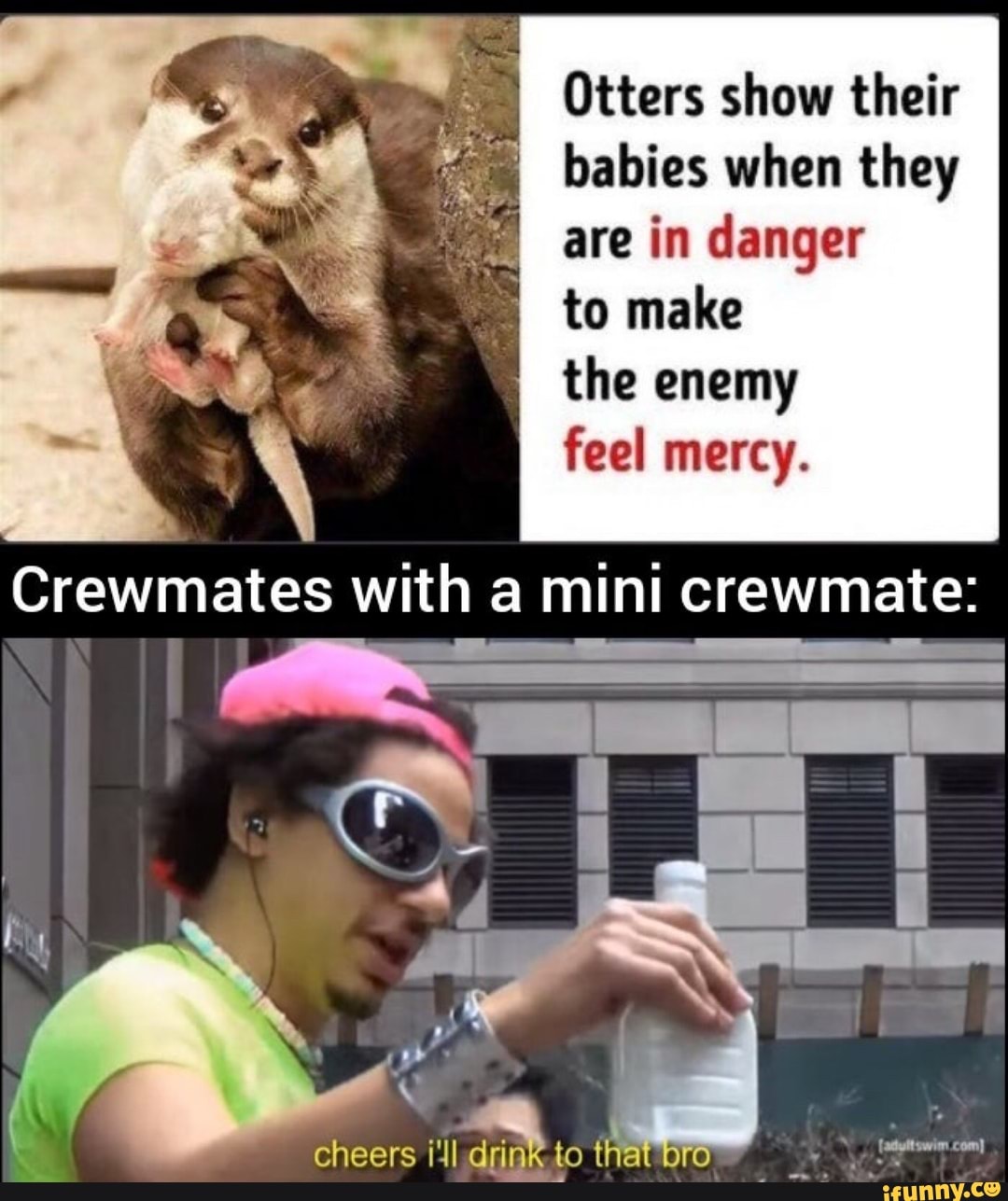 Otters show their babies when they are in danger I to make the enemy