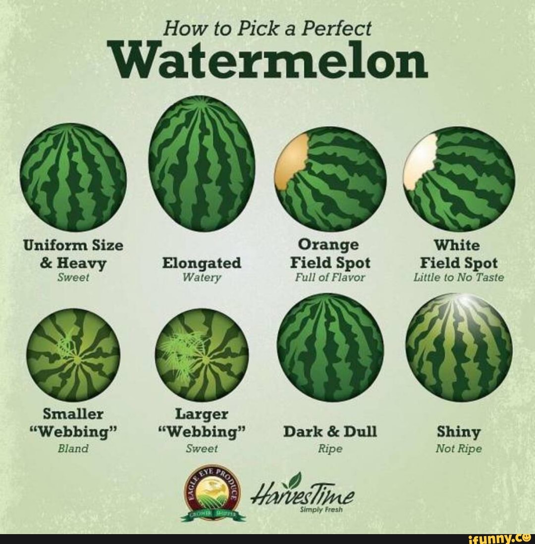 Uniform Size Orange White
es Na Elongated Field Spot Field Spot
RYT Watery Full of Flavor Little to No Taste
Smaller Larger
"Webbing" "Webbing" Dark Dull Si
Bland Sweet Ripe Not Ripe