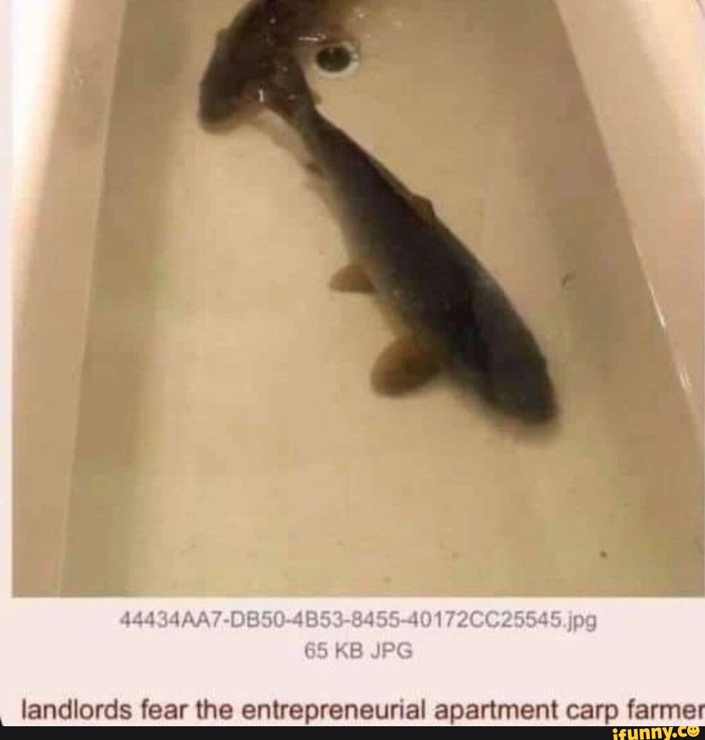 4434AA7DB504B53845540172CC25545.jpg 65 KB JPG landlords fear the