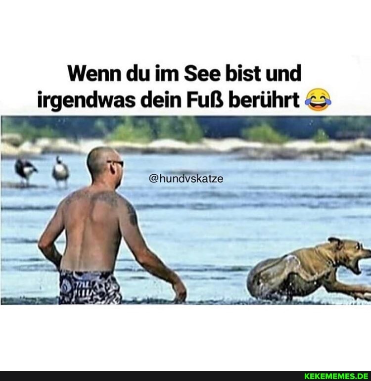 Wenn du im See bist und irgendwas dein Fuß berührt