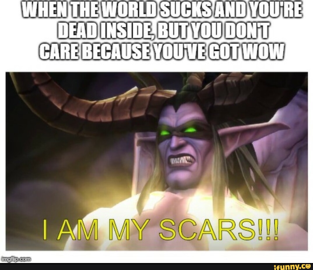 Mmorpg memes. Best Collection of funny Mmorpg pictures on iFunny