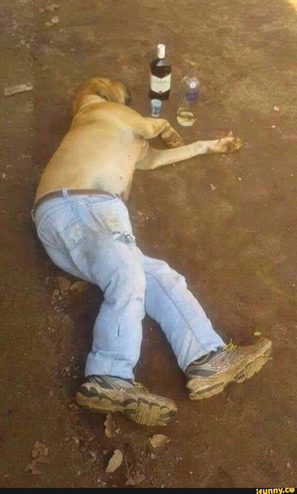 dog, cursed, drunk, cursedimage, bruh, lmaoo, haha
