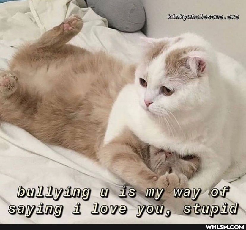 is m saying & love you, stupids