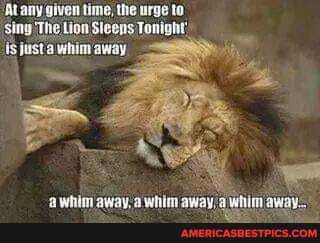 Atany given time, the urge to
Sing The Lion Sleens Tonight: is justa whim away