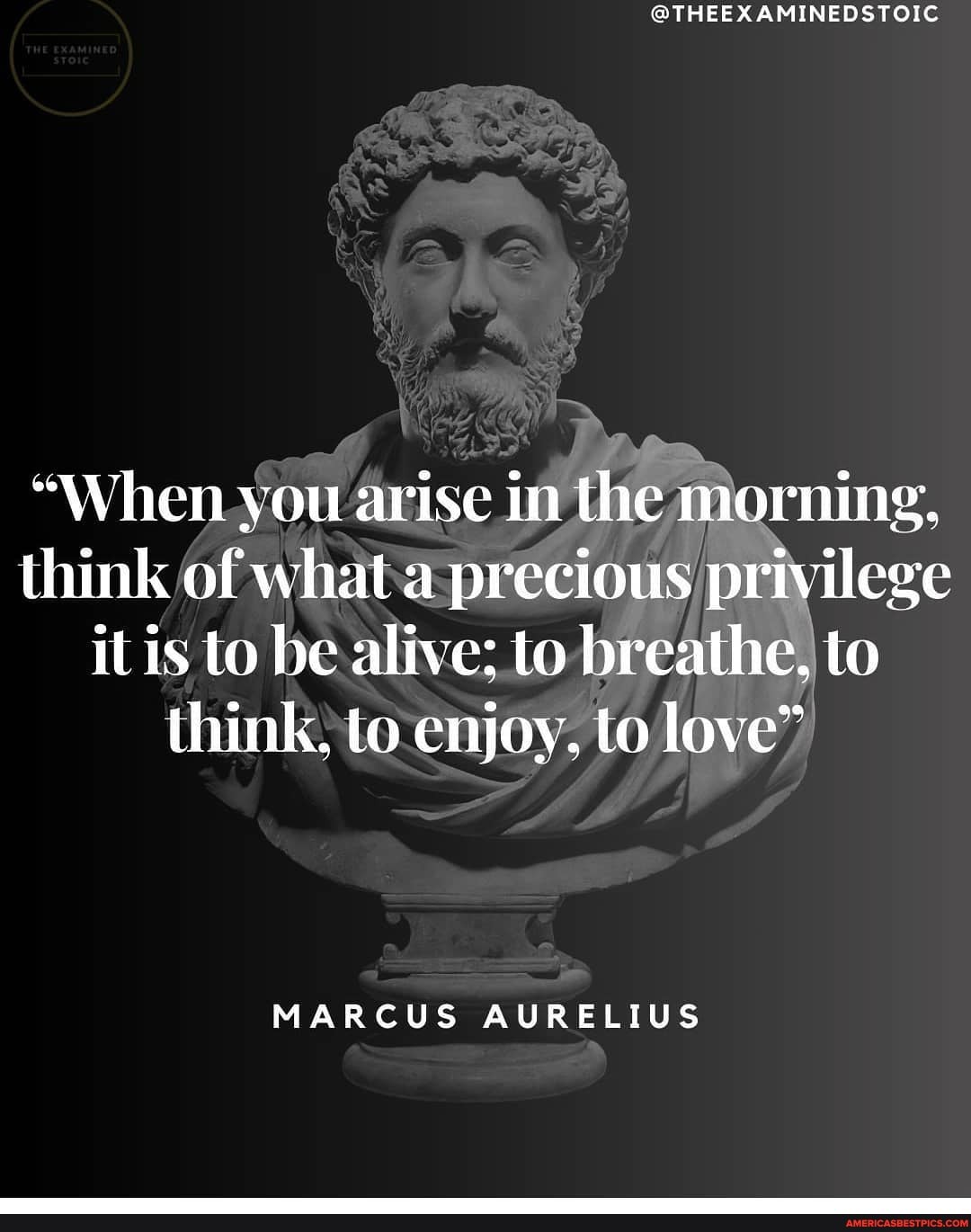 @THEEX AMINEDSTOIC
"When you arise in the morning, think of what a precious privilege it is to be alive; to breathe, to think, to cnjoy, to love"
MARCUS AURELIUS