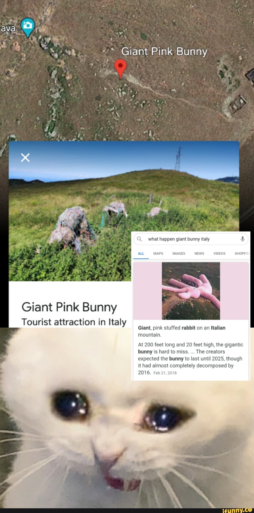 What Happened To The Giant Pink Bunny