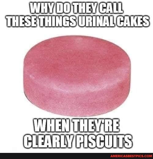 COO TO URINALCAKES
PISCHITS