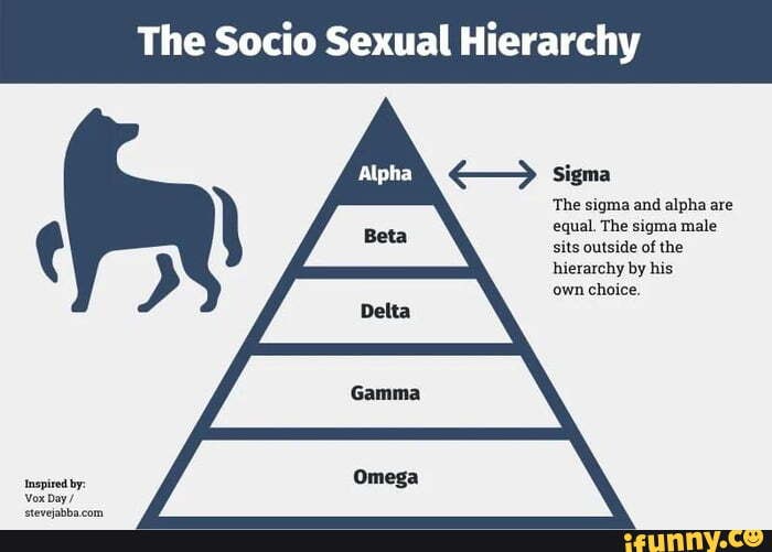 The Socio Sexual Hierarchy Sigma The Sigma And Alpha Are Equal The Sigma Male Sits Outside Of 5739