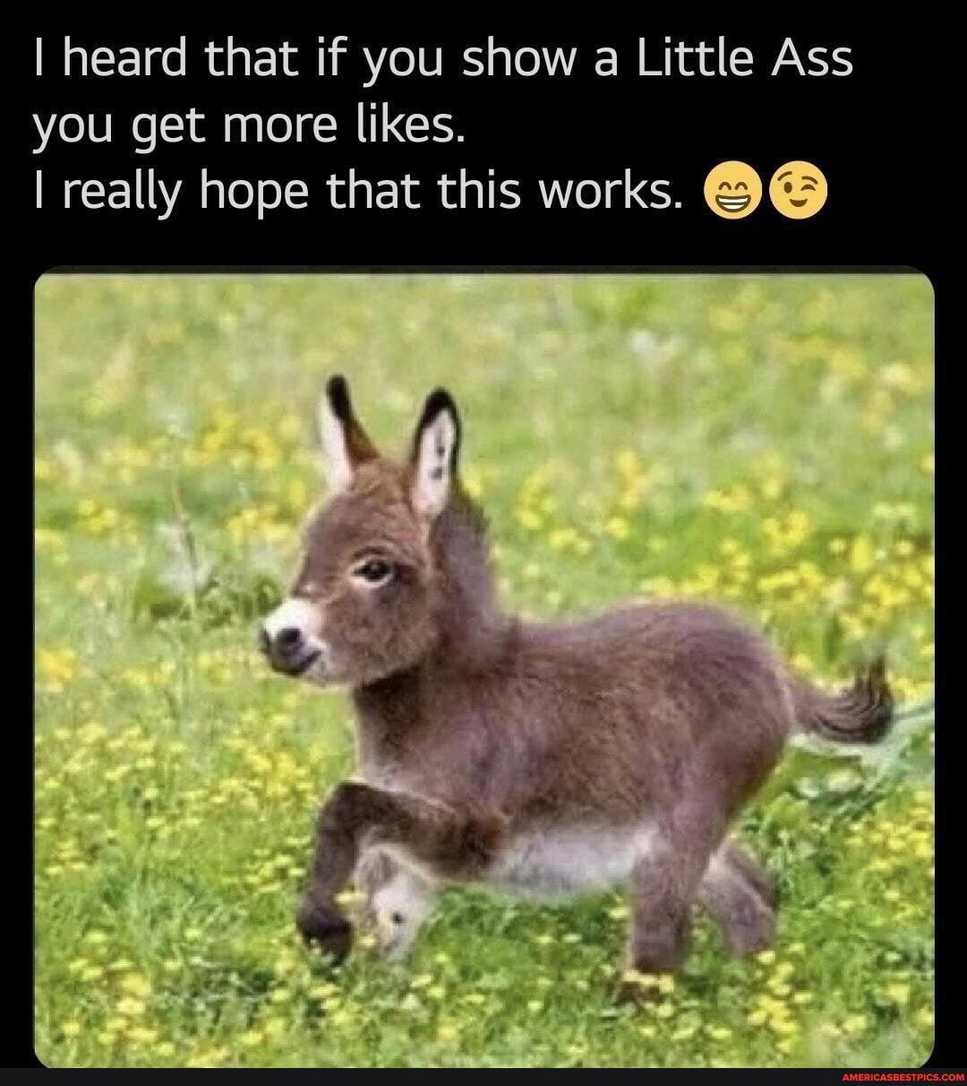 you get more likes.
I heard that if you show a Little Ass
I really hope that this works.