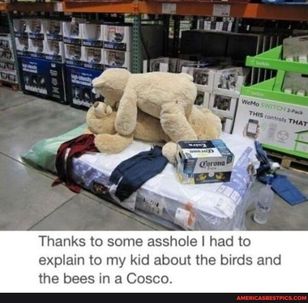 fan
Thanks to some asshole I had to explain to my kid about the birds and the bees in a Cosco.